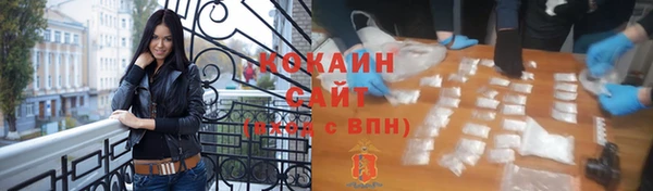 тгк Алзамай