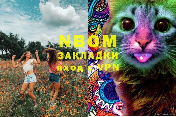 тгк Алзамай