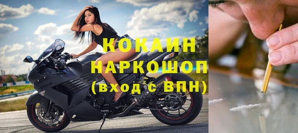 тгк Алзамай